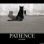 You Need Patience When. . .